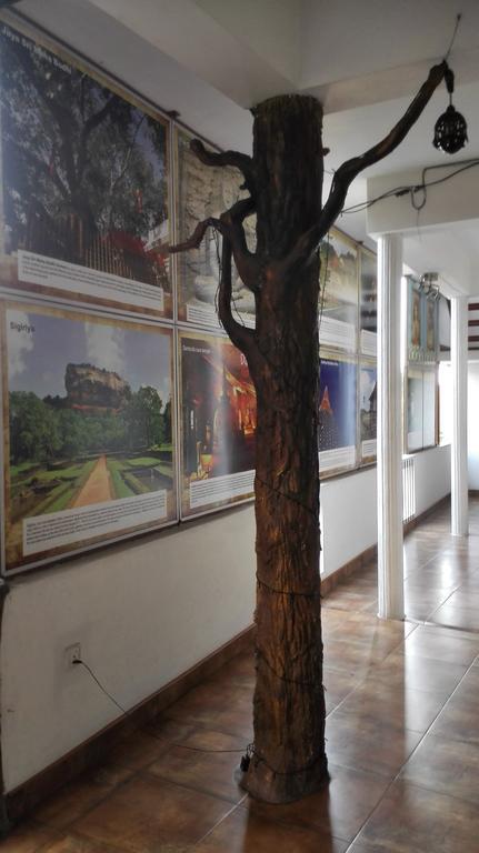 Hotel 100 Dehiwala-Mount Lavinia Zewnętrze zdjęcie